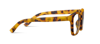 Zinnia (Blue Light)
